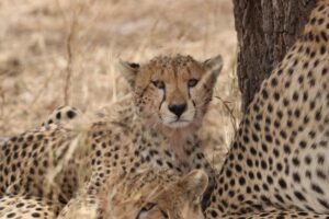 2022-Aug-26-05_53 - IMG_9196