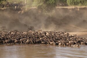 2022-Aug-28-00_46 - IMG_9549 - Copy