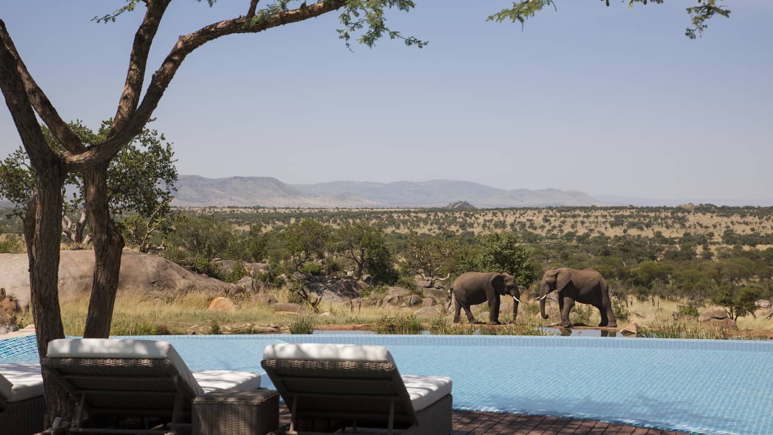Four Seasons Serengeti — 1
